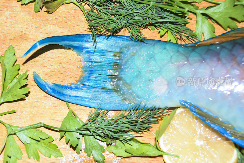Punch fin fragment片彩色生鱼鹦鹉蓝色热带明亮的木制背景与柠檬绿色冰有用的食物异国情调